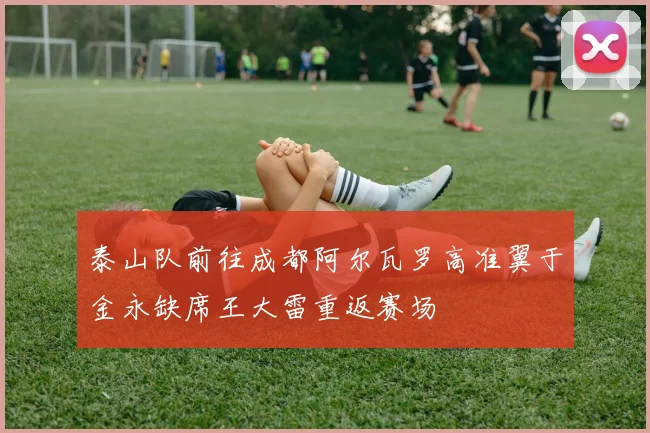 泰山队前往成都阿尔瓦罗高准翼于金永缺席王大雷重返赛场
