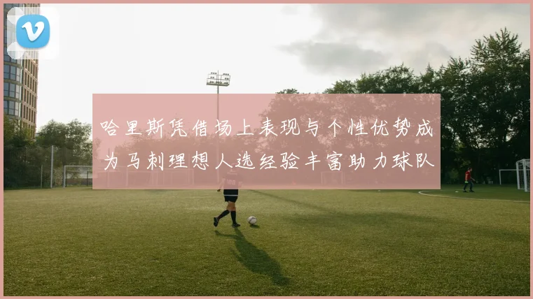 哈里斯凭借场上表现与个性优势成为马刺理想人选经验丰富助力球队发展